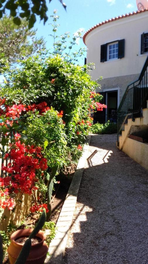 Amazigh Guincho Hostel & Suites Cascais Luaran gambar
